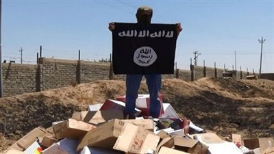 بالفيديو.. داعشي يرفع علم الخلافة على الحدود الدنماركية الألمانية