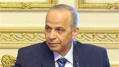 بالفيديو.. محافظ الوادي الجديد: مصابى 