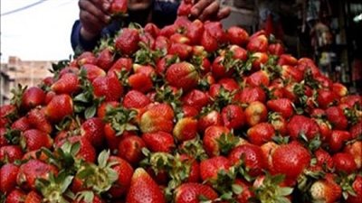الفراولة بـ10 جنيهات.. وتاجر يطالب بتشديد الرقابة على الأسعار