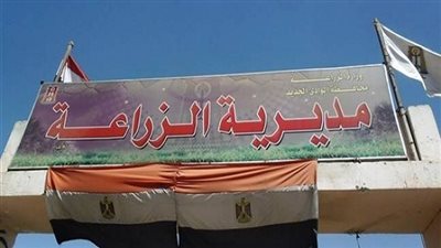 الانتهاء من زراعة 14 ألف فدان محاصيل شتوية ببلاط الوادي الجديد
