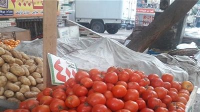 ارتفاع أسعار الخضراوات والدواجن والأسماك