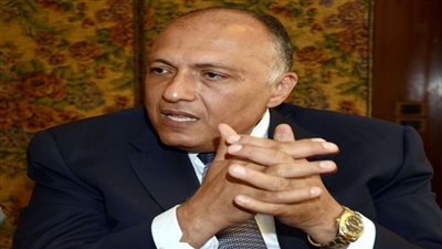 وزير الخارجية يحذر من ميلاد 100 ألف إرهابي في مصر