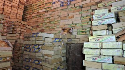 مصادرة 1400 عبوة ملح و190 صندوق رنجة فاسدا بالغربية