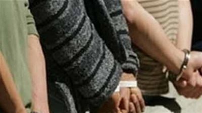 ضبط 5 عناصر إجرامية وفحص 12 مسجلا في حملة أمنية بالغربية