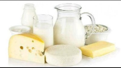 تباين أسعار منتجات الألبان.. والجبن الرومي يسجل 65 جنيها بالجيزة