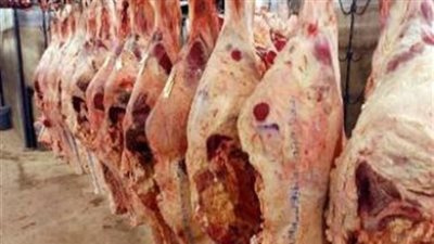ضبط 10 طن لحوم فاسدة بمدينة 15 مايو