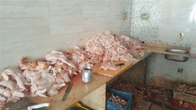 ضبط 5 أطنان لحوم دواجن فاسدة بالجيزة
