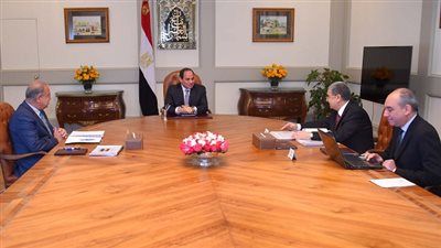 السيسي يعقد اجتماعاً مع رئيس مجلس الوزراء ووزير الكهرباء