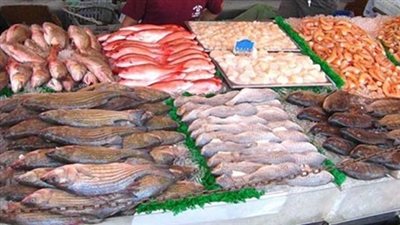 استقرار أسعار الأسماك.. و