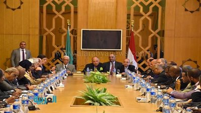 وزير الخارجية يلتقي السفراء الأفارقة المعتمدين بالقاهرة