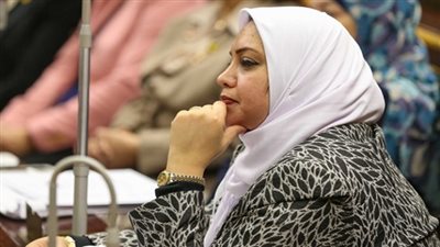 برلمانية: يجب على الحكومة إخراج قانون الاستثمار من الإدراج