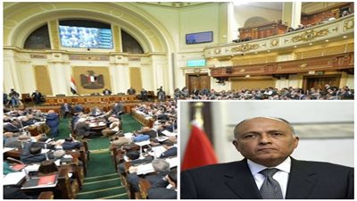 سامح شكرى داخل البرلمان