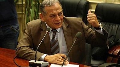 السادات: الحديث عن ترشحي للرئاسة سابق لأوانه وأمارس دوري النيابي بلا تراجع