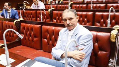 برلماني: حكم المحكمة اليوم شفاء لأسر شهداء جماهير النادى الأهلي