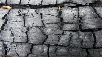 إنشاء فرن ثالث بالنصر لفحم الكوك لزيادة الإنتاج لـ 650 ألف طن سنويا