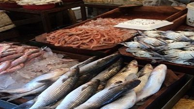 تباين أسعار الأسماك بسوق الجملة.. والبلطي يسجل 18 جنيها
