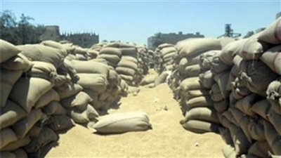 غرفة صناعة الحبوب تناقش شروط توريد الأقماح