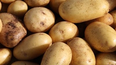 البطاطس تسجل 4 جنيهات بسوق العبور.. اليوم