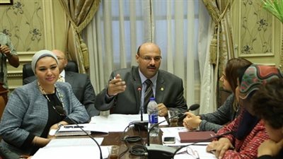 برلمانى: أطلب تأجيل زيادة رسوم تأشيرة الدخول إلى أجل غير مسمى