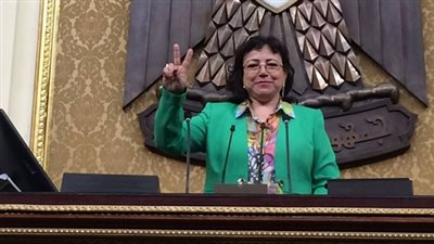 برلمانية: مشروع قانون دمج الاقتصاد الغير رسمي في الاقتصاد الرسمي سوف يدخل للخزانة العامة 2 تريليون جنيه