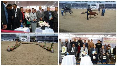 أحمد سليمان خليل يشارك في افتتاح مهرجان البحيرة الدولي العاشر للخيول 