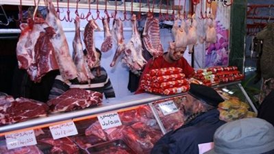 ارتفاع أسعار الدواجن والأسماك بسوق سليمان جوهر في الدقي