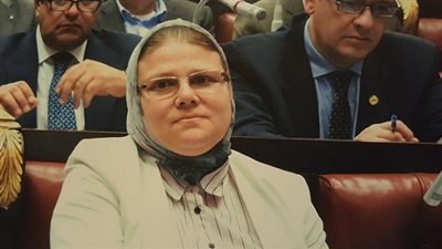 برلمانية: تعميم أكشاك القمامة على جميع أحياء القاهرة قريبًا