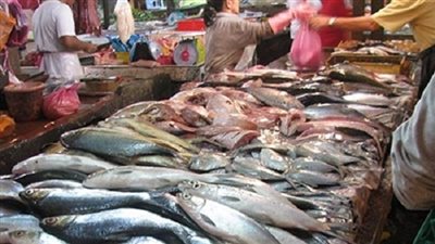  أسعار الأسماك.. والبلطي يسجل 35 جنيهًا