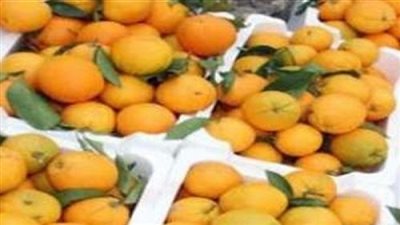 3 جنيهات ارتفاعا في أسعار اليوسفي بسوق الجملة