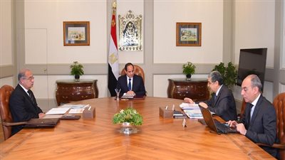 السيسي بإجتماع الحكومة: أهمية مواصلة جهود تطوير قطاع الكهرباء