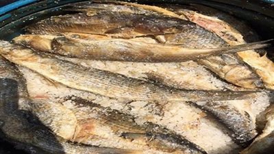 ضبط ٧٩ طن فسيخ فاسد قبل بيعه في شم النسيم