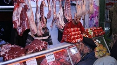 الكندوز يسجل 120 جنيهًا في الدقهلية