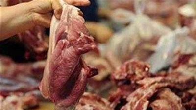 ضبط 9 طن مصنعات لحوم غير صالحة للاستهلاك الآدمي بمصنع بكرداسة