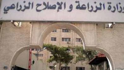 الزراعة: ضبط 5 أطنان ونصف من الدواجن والأسماك غير صالحة للاستخدام الآدمي بالجيزة