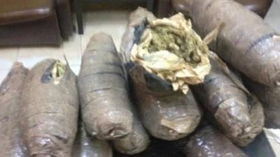 حبس سائق حاول تهريب 300 كيلو بانجو في المنيا