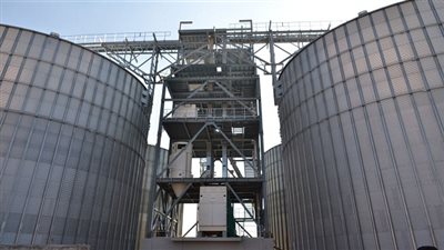 توريد 499 طن قمح لشون وصوامع سوهاج