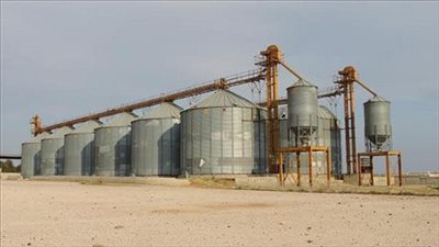 التموين.. تعلن  استلام 237 الف طن قمح