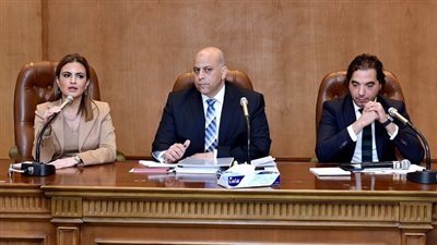 سحر نصر: قانون الاستثمار يعطي ضمانات وحوافز غير مسبوقة للمستثمرين