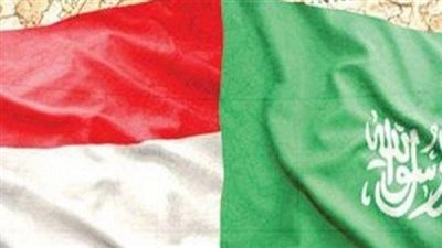 لجنة إماراتية سعودية يمنية لرفع مستوى التنسيق