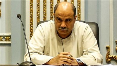 برلمانى: الحكومة تحارب المزارع السمكية الخاصة