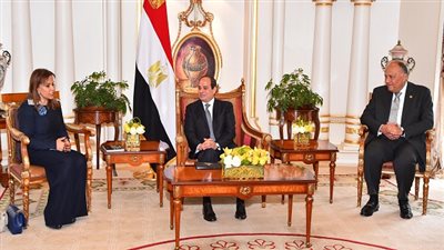 السيسي يستقبل أعضاء الجانب الكويتي في مجلس التعاون الاقتصادي المصري الكويتي