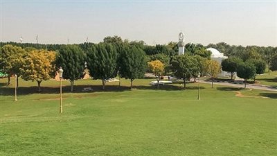 تخصيص 800 متر لإنشاء منتزه عام بقرية 