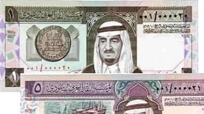 استقرار أسعار العملات العربية اليوم.. والريال السعودي بـ481 قرشا