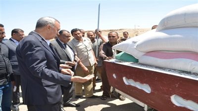 توريد 73 ألف طن قمح لصوامع قنا