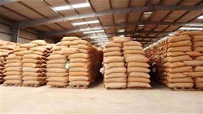 توريد 66 ألفا و789 طن قمح لشون وصوامع سوهاج