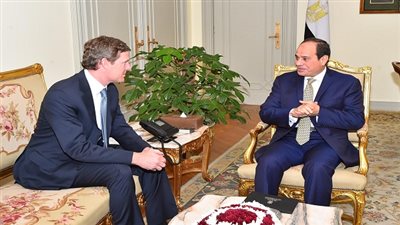 السيسي يستقبل رئيس شركة 