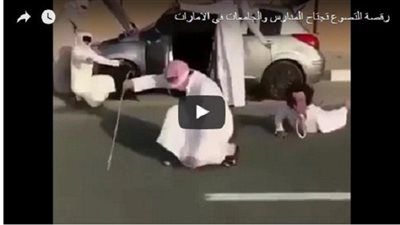 بالفيديو.. انتشار رقصة بين الطلبة والطالبات تثير مخاوف الإمارات