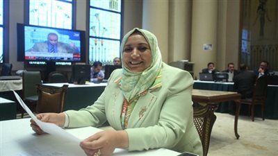 برلمانية: الجهد المبذول لايغطى أخطاء 30 سنة ماضية مليئة بالأخطاء