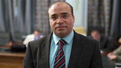 برلمانى: التجربة الحزبية بدون دعم لن تستمر