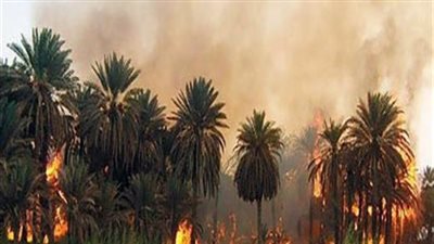 السيطرة على حريق الأشجار بمحيط سنترال العتبة